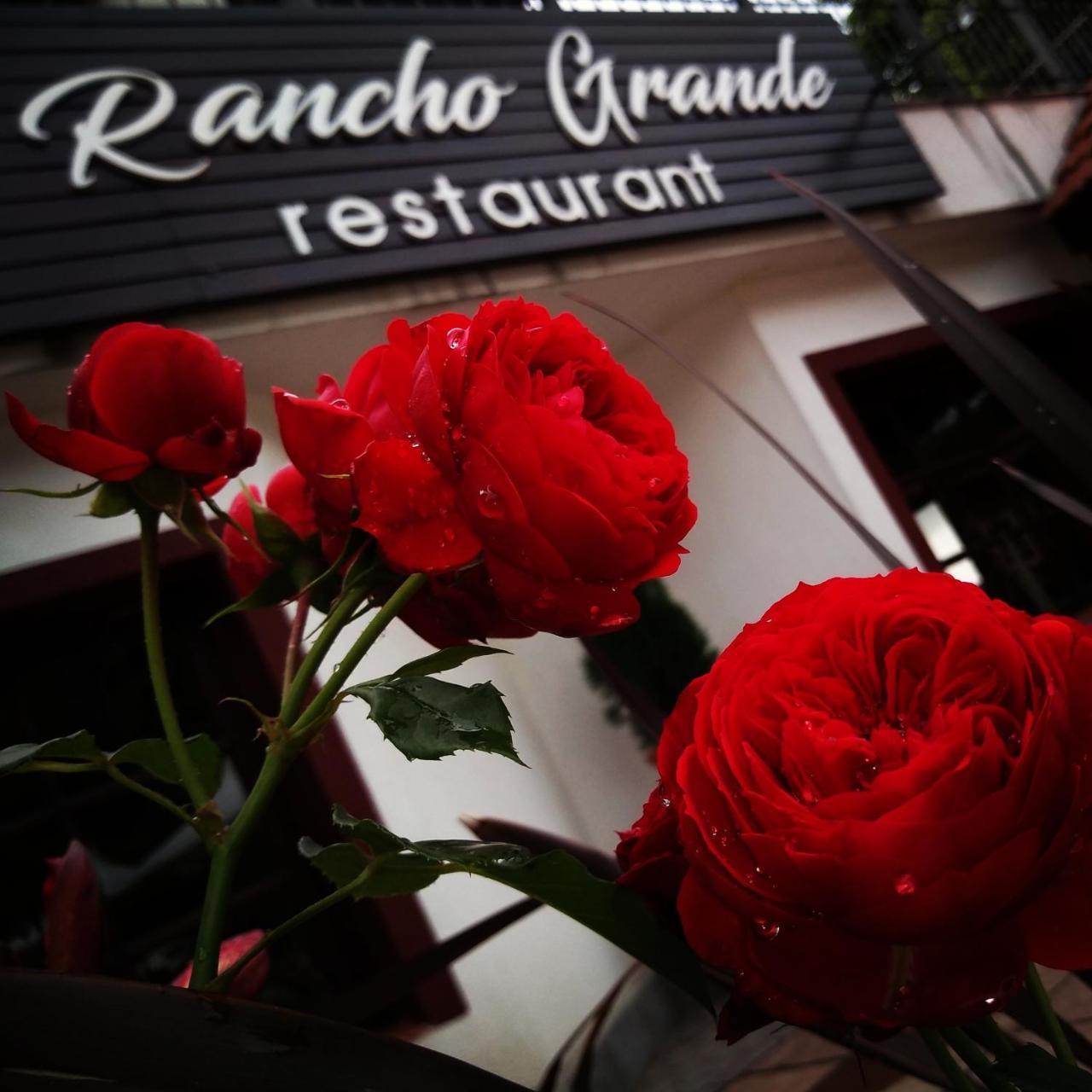 Rancho Grande Hotel Вилья-Хенераль-Бельграно Экстерьер фото